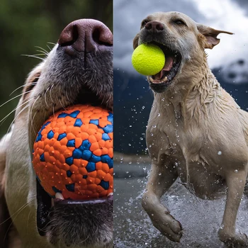 Куче играчка топка кученце обучение интерактивна играчка домашен любимец ухапване устойчиви дъвчене топка Лабрадор ретривъри немски овчарки зъб смилане