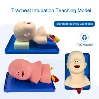 Неонатален модел за интубация на трахеята при новородени Аналогов модел за интубация на човешки трахеални дихателни пътища PVC модел на обучение