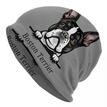 Сладко куче Бостънски териер Черепи Beanies Caps Унисекс Зимна топла плетена шапка Шапка за възрастни домашни любимци Шапки на капака на животните на открито Ски шапка